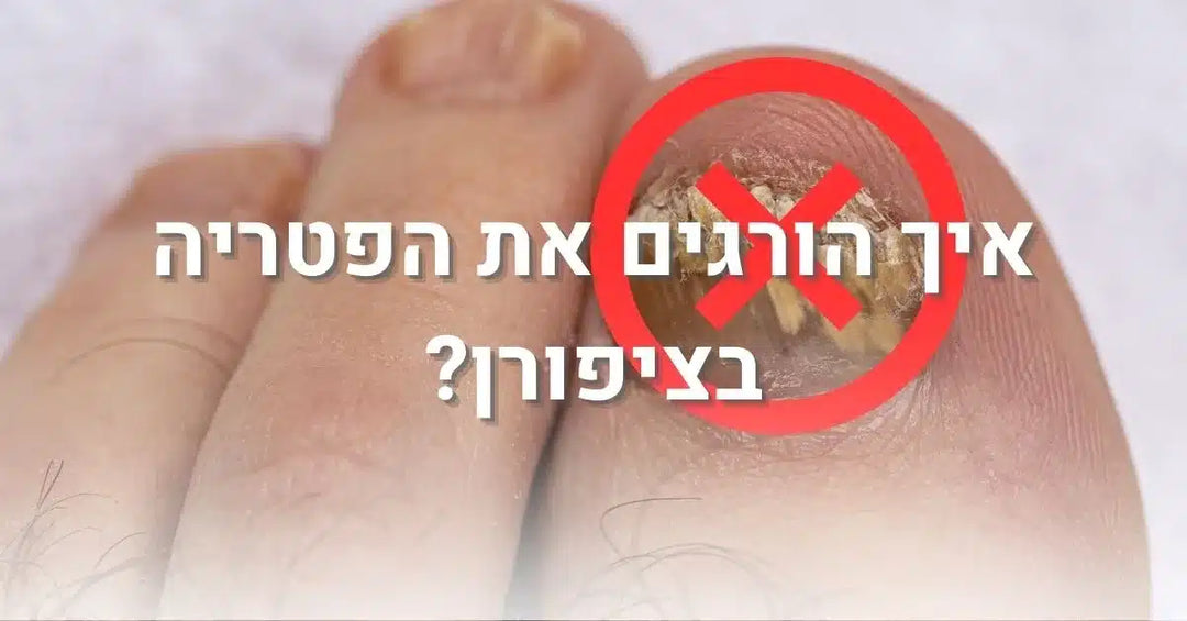 איך הורגים את הפטריה בציפורן